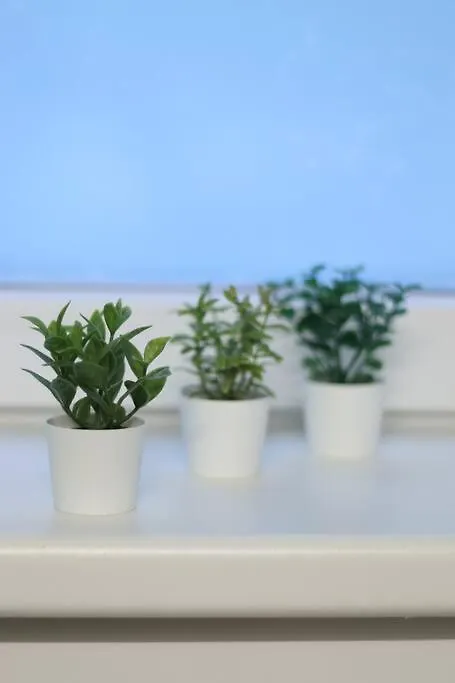 Zentral Gemuetliches Design Studio Lägenhet Berlin